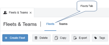 fleets_tab.zoom80.png